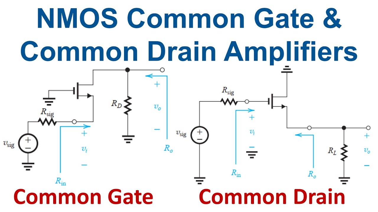 Common Drain vs Source Follower What is the Difference? Clear Comparison Guide!